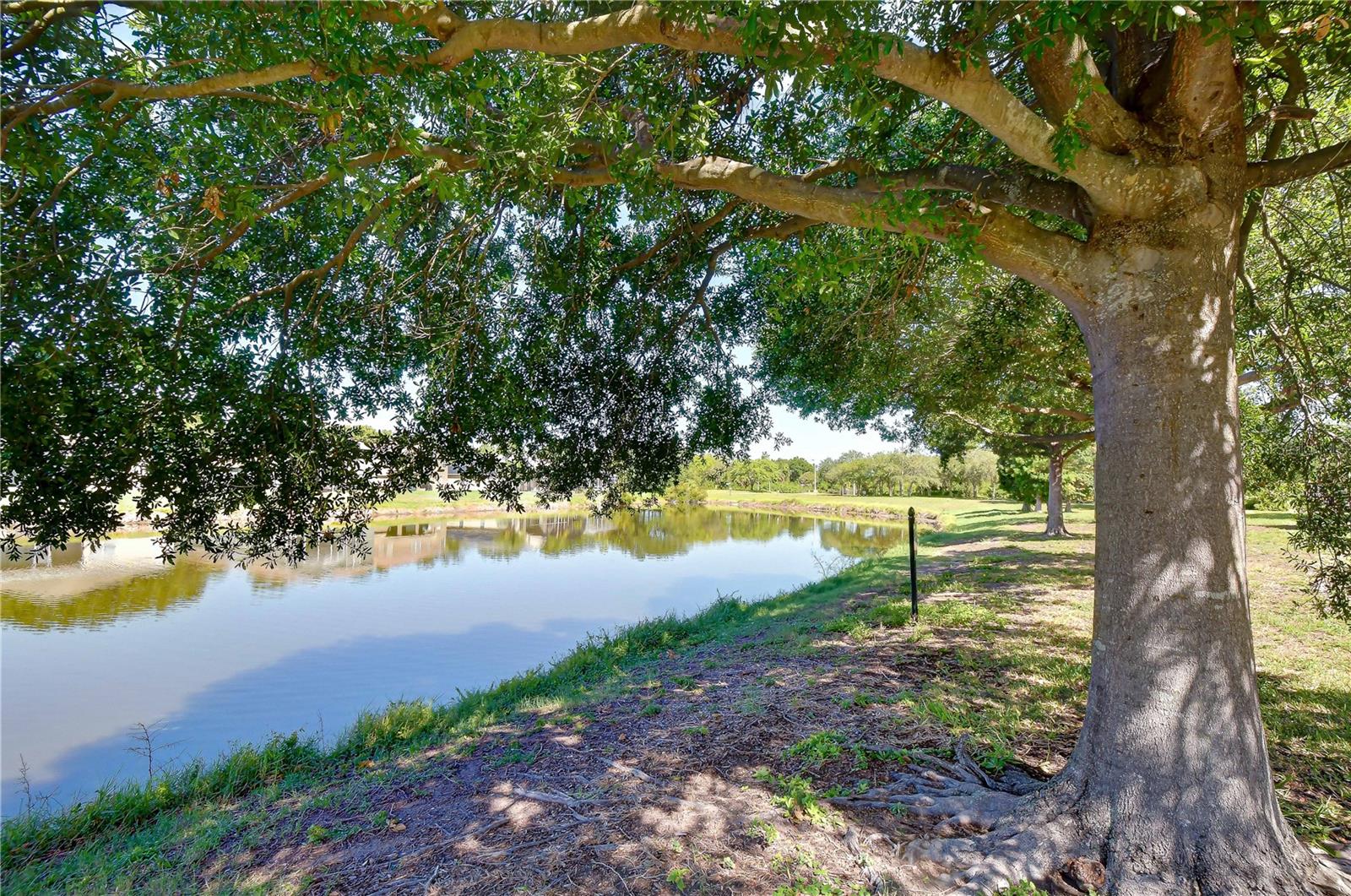 6919 Towering Spruce Dr Property Photo 7