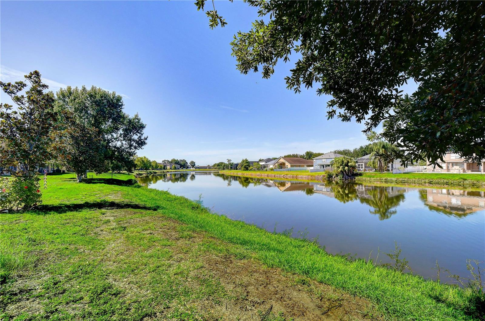 6919 Towering Spruce Dr Property Photo 8