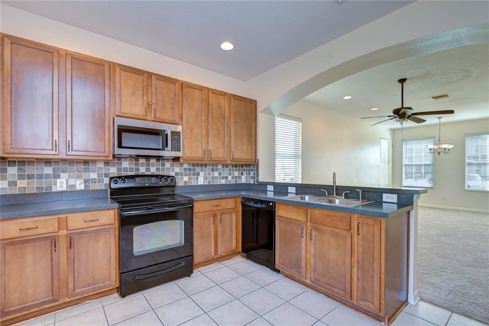 6919 Towering Spruce Dr Property Photo 17