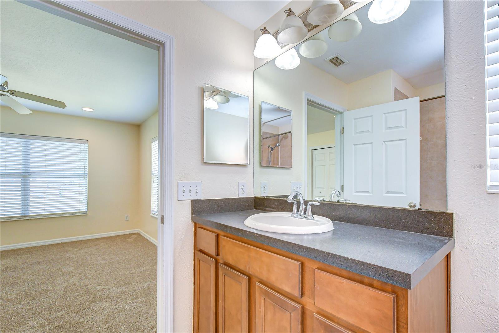 6919 Towering Spruce Dr Property Photo 24