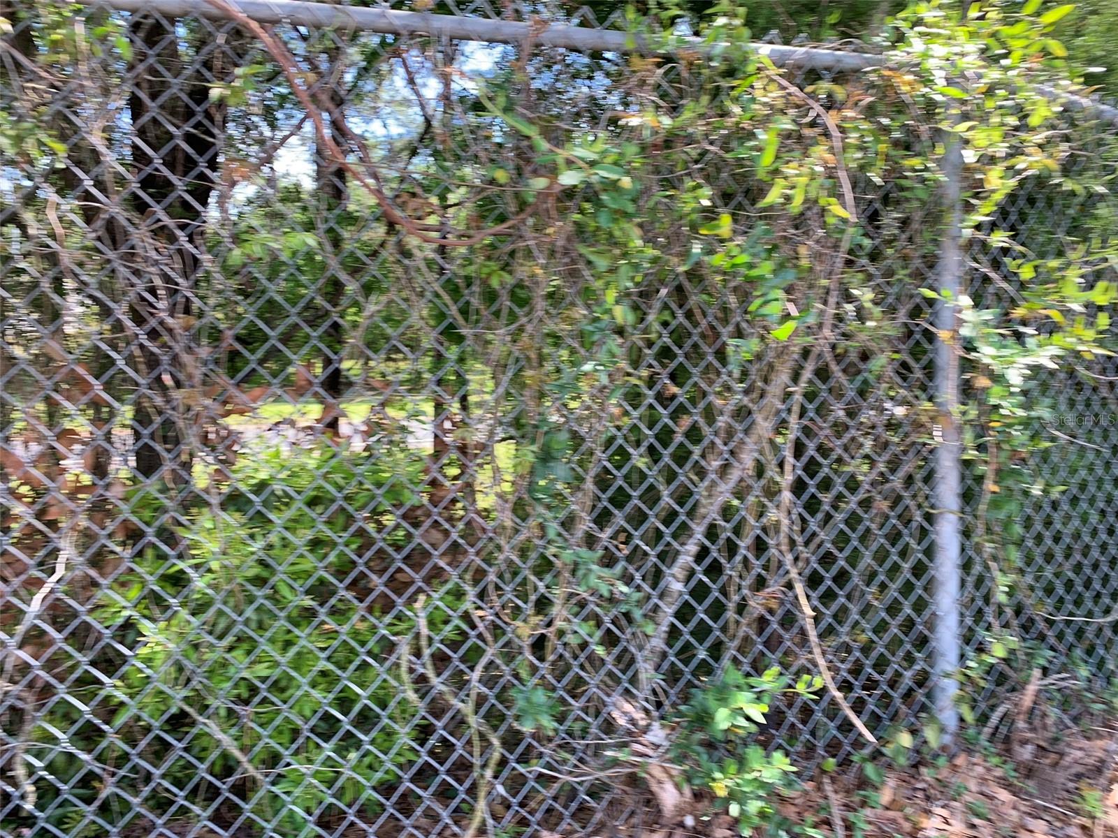 Normandy Blvd Property Photo 5