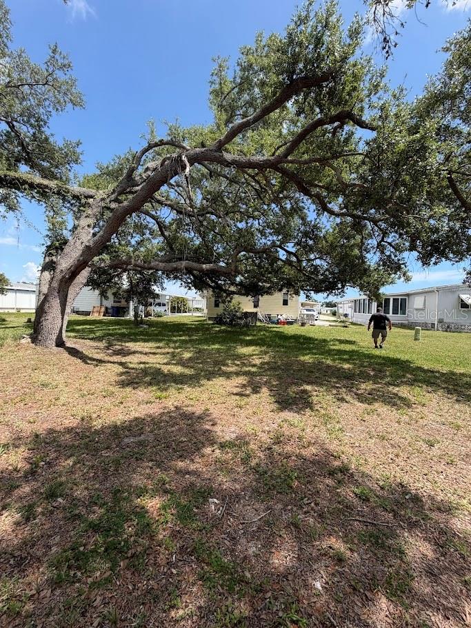 833 Jolanda Cir Property Photo 59