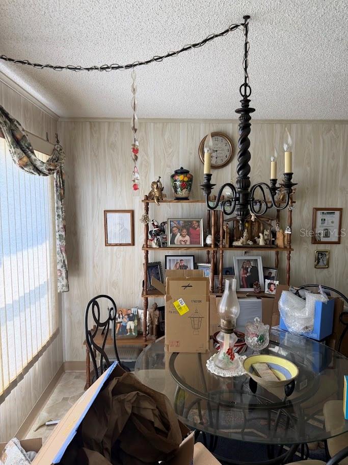 833 Jolanda Cir Property Photo 63