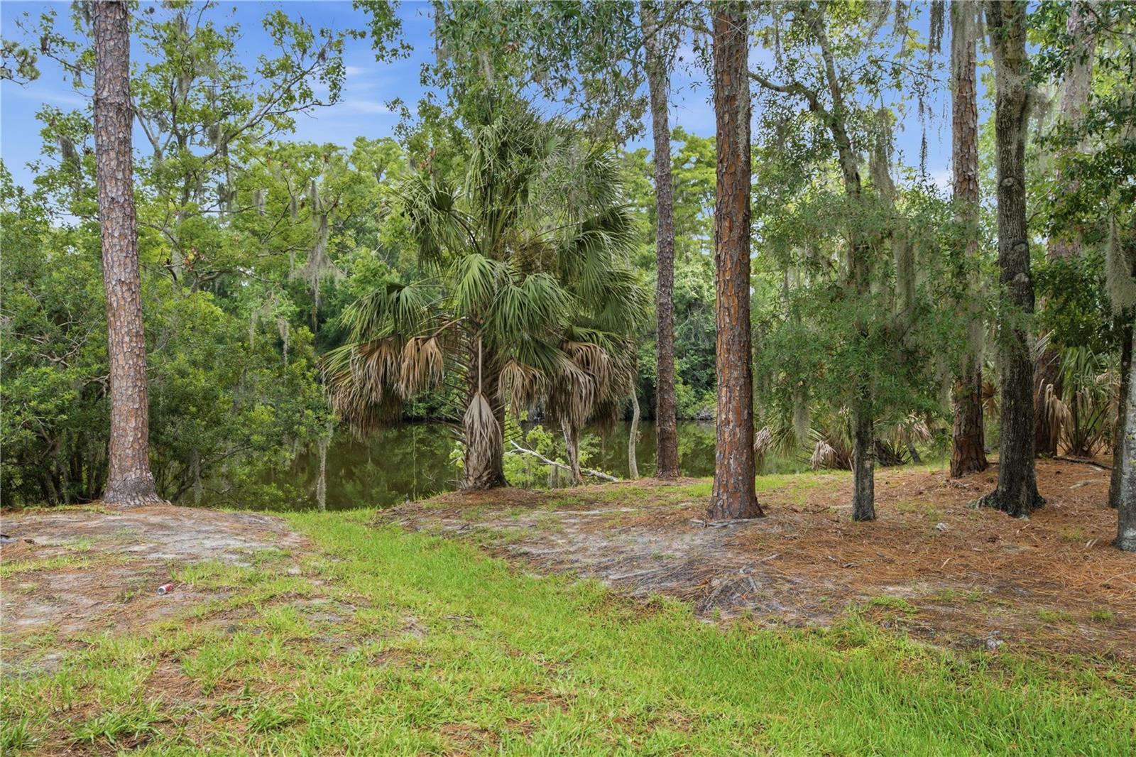 1332 Preservation Way Property Photo 11