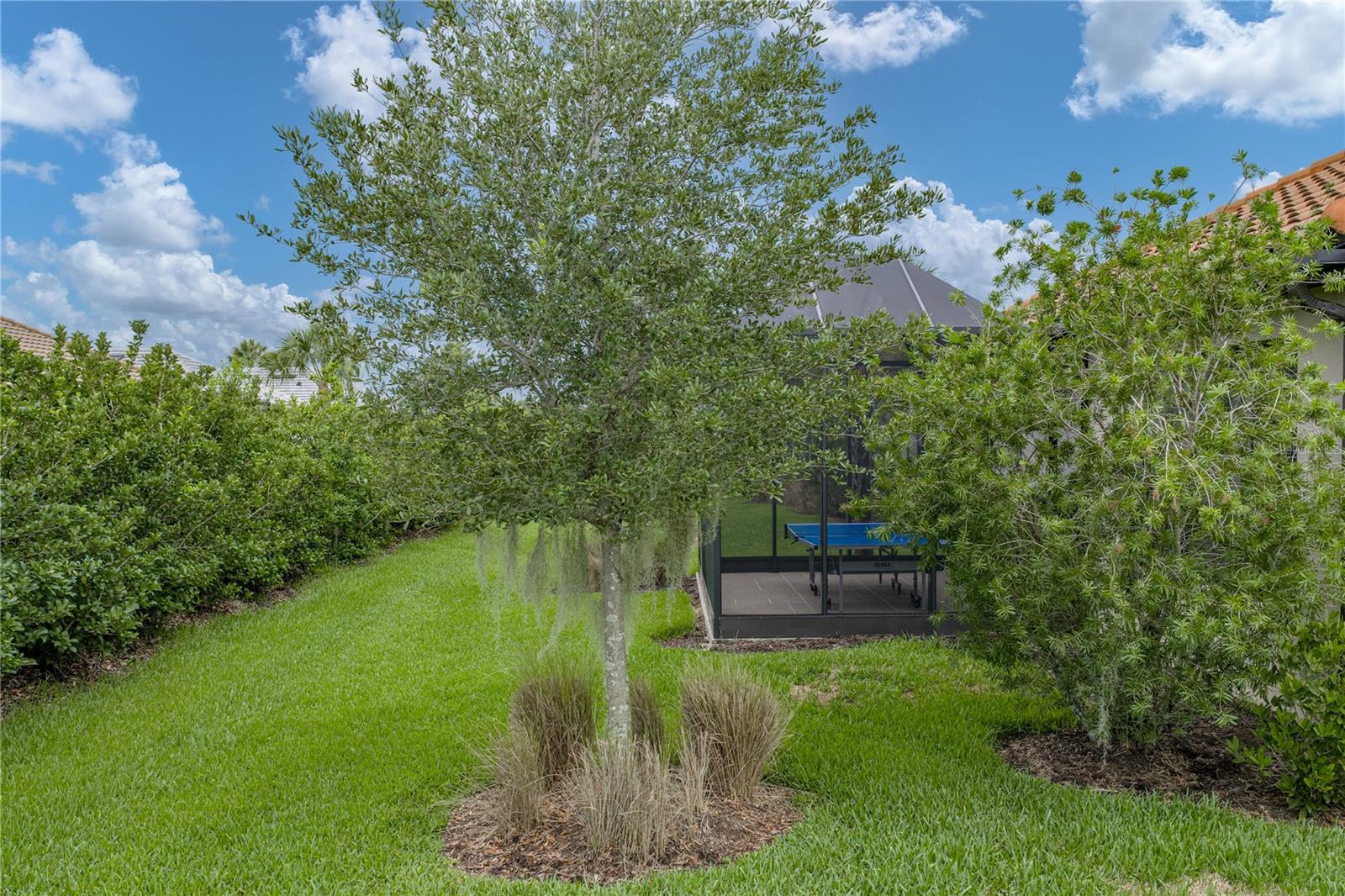 4248 Cairoli Ct Property Photo 62