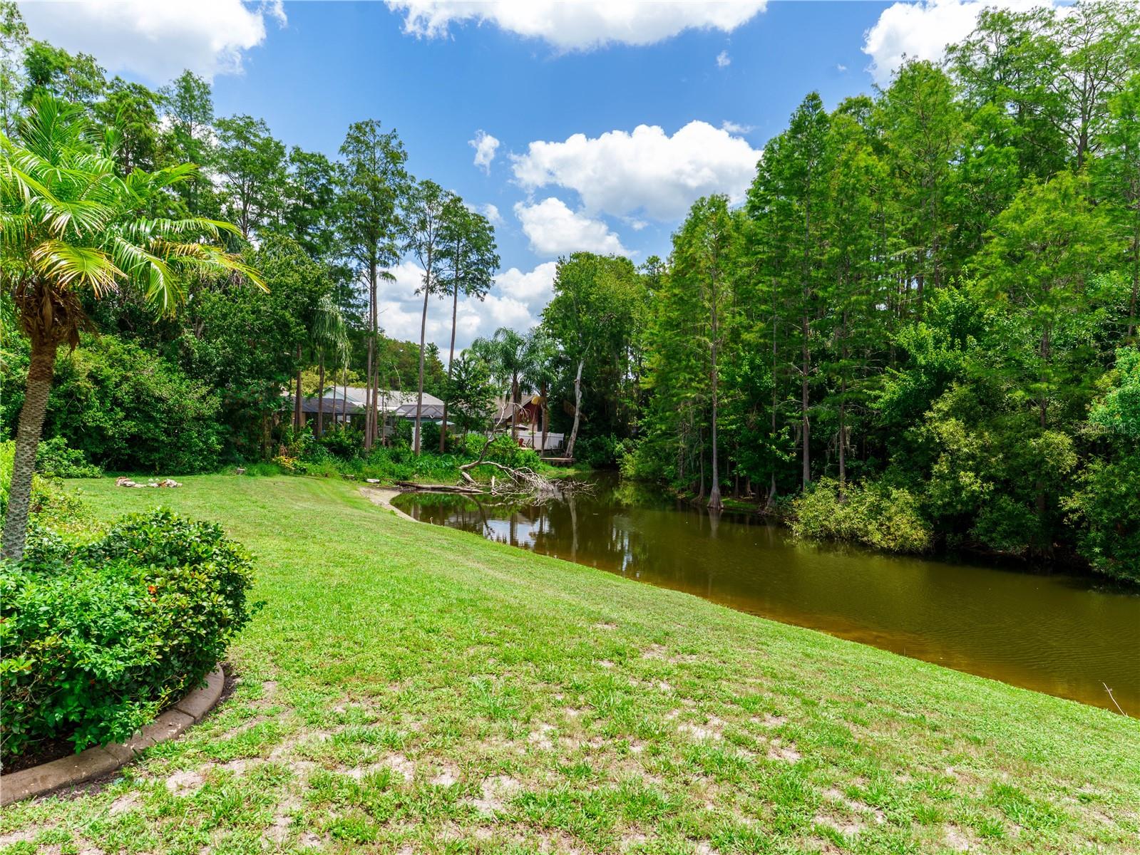 8153 Baytree Dr Property Photo 4