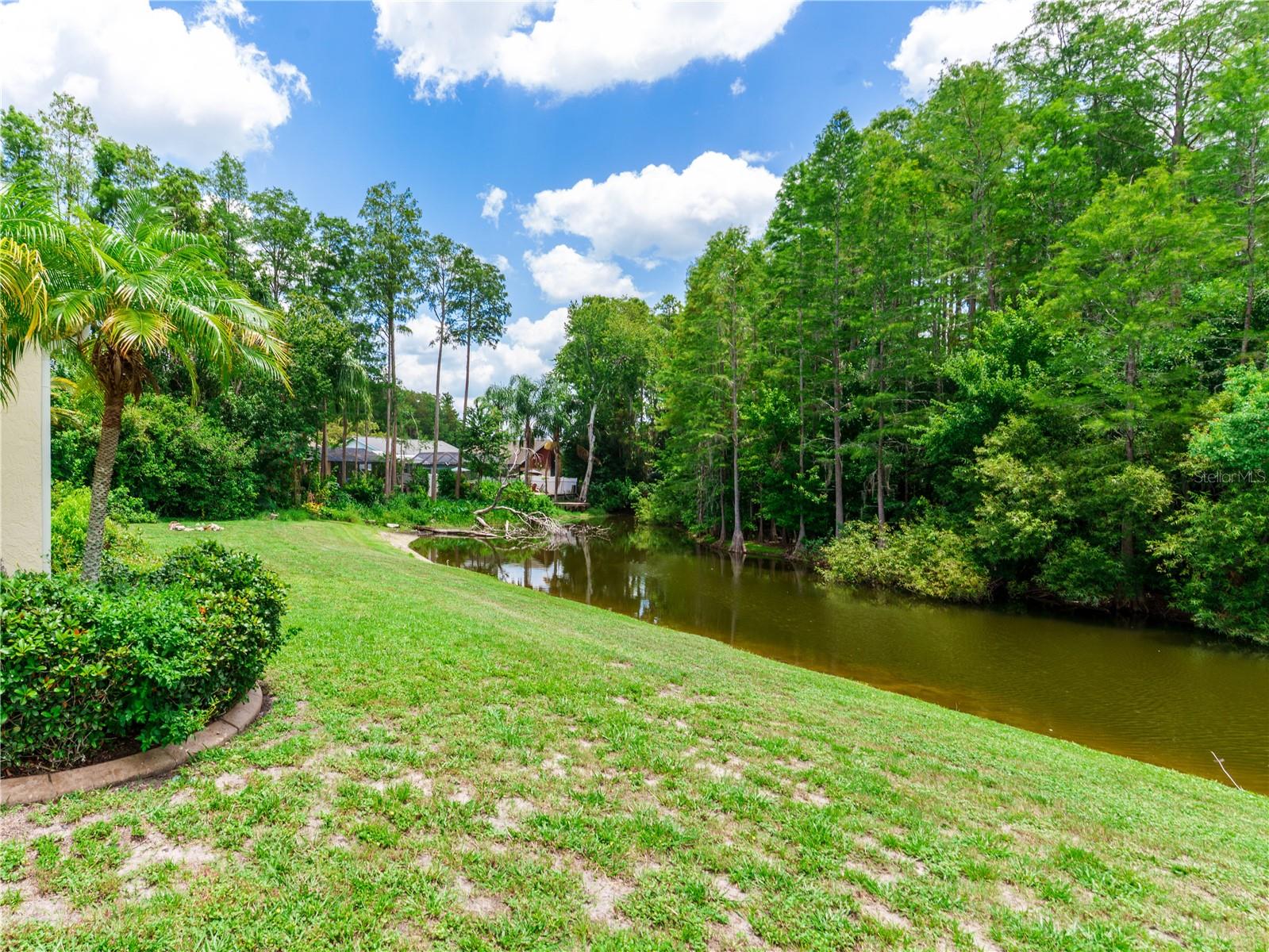8153 Baytree Dr Property Photo 5