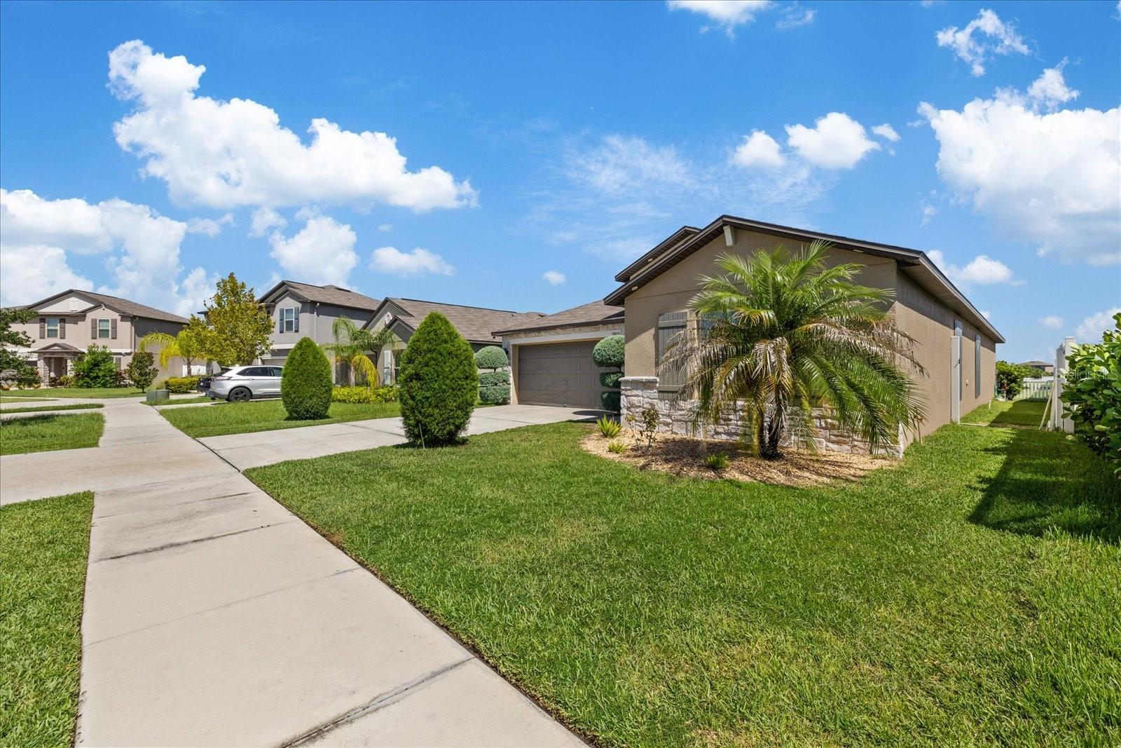 11803 Blackeyed Susan Dr Property Photo 4