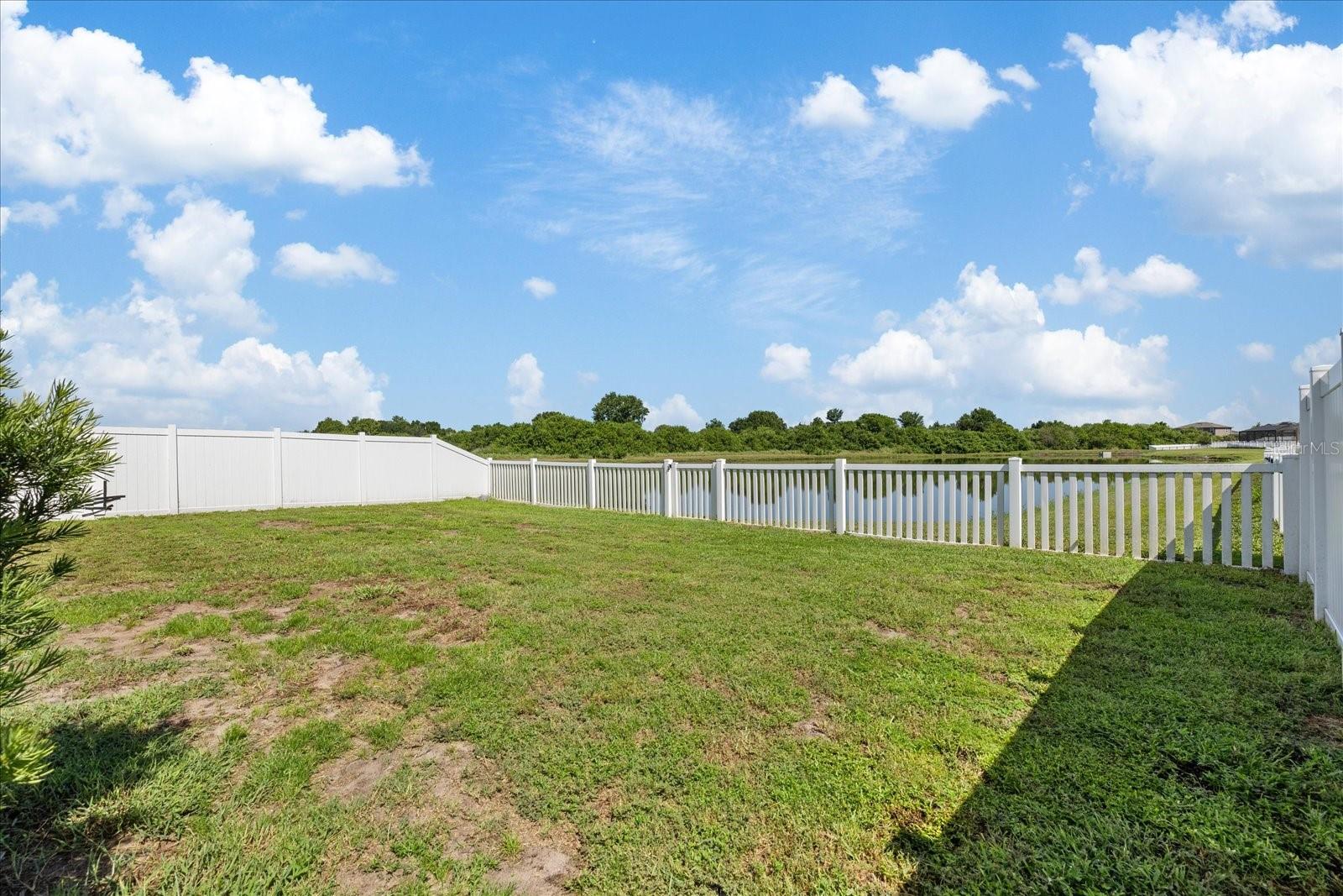 11803 Blackeyed Susan Dr Property Photo 36