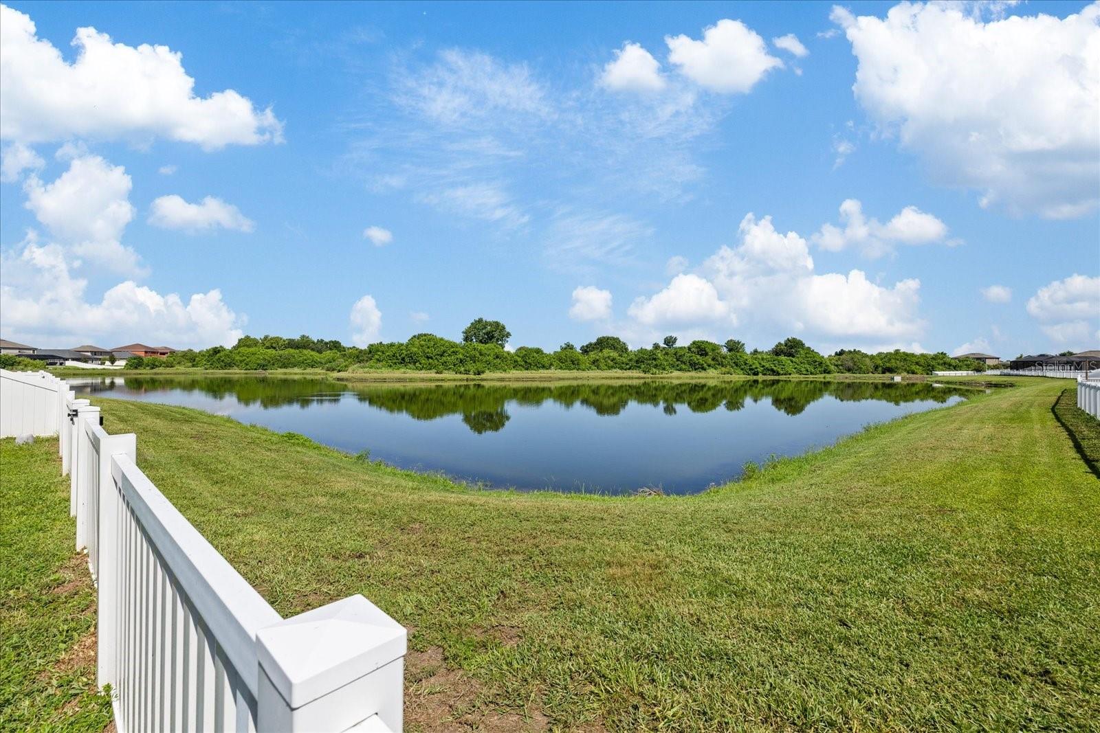 11803 Blackeyed Susan Dr Property Photo 37
