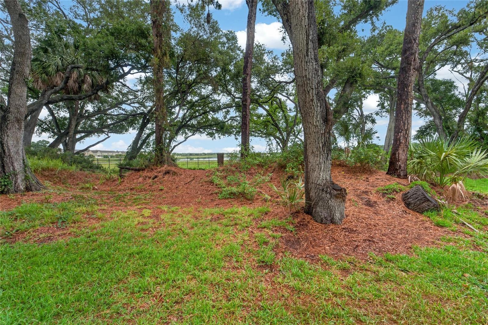 2005 River Turia Cir Property Photo 20