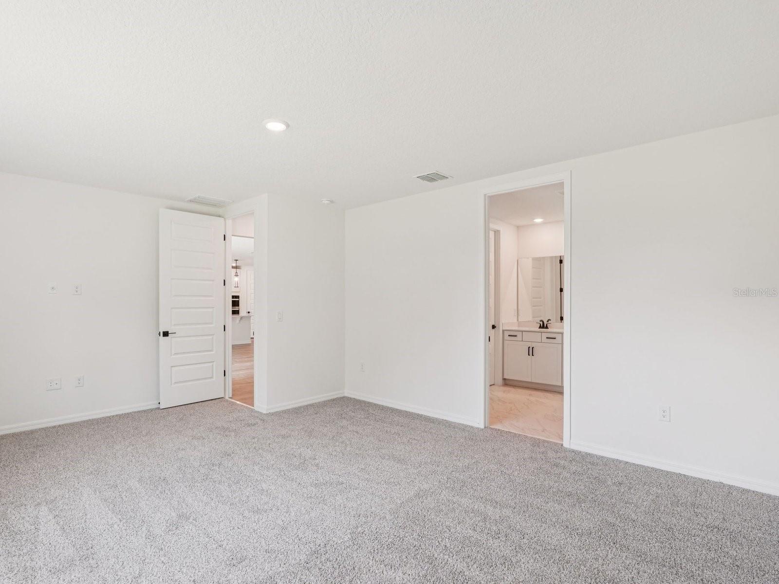 10506 Abundance Grove Way Property Photo 9