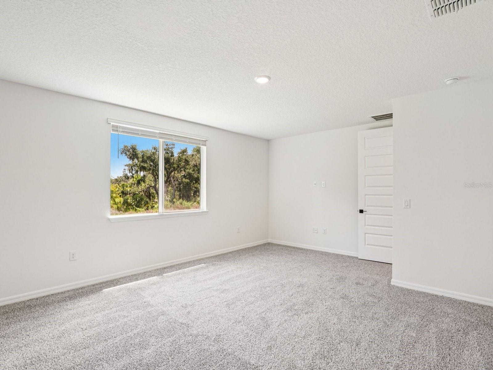 10506 Abundance Grove Way Property Photo 10