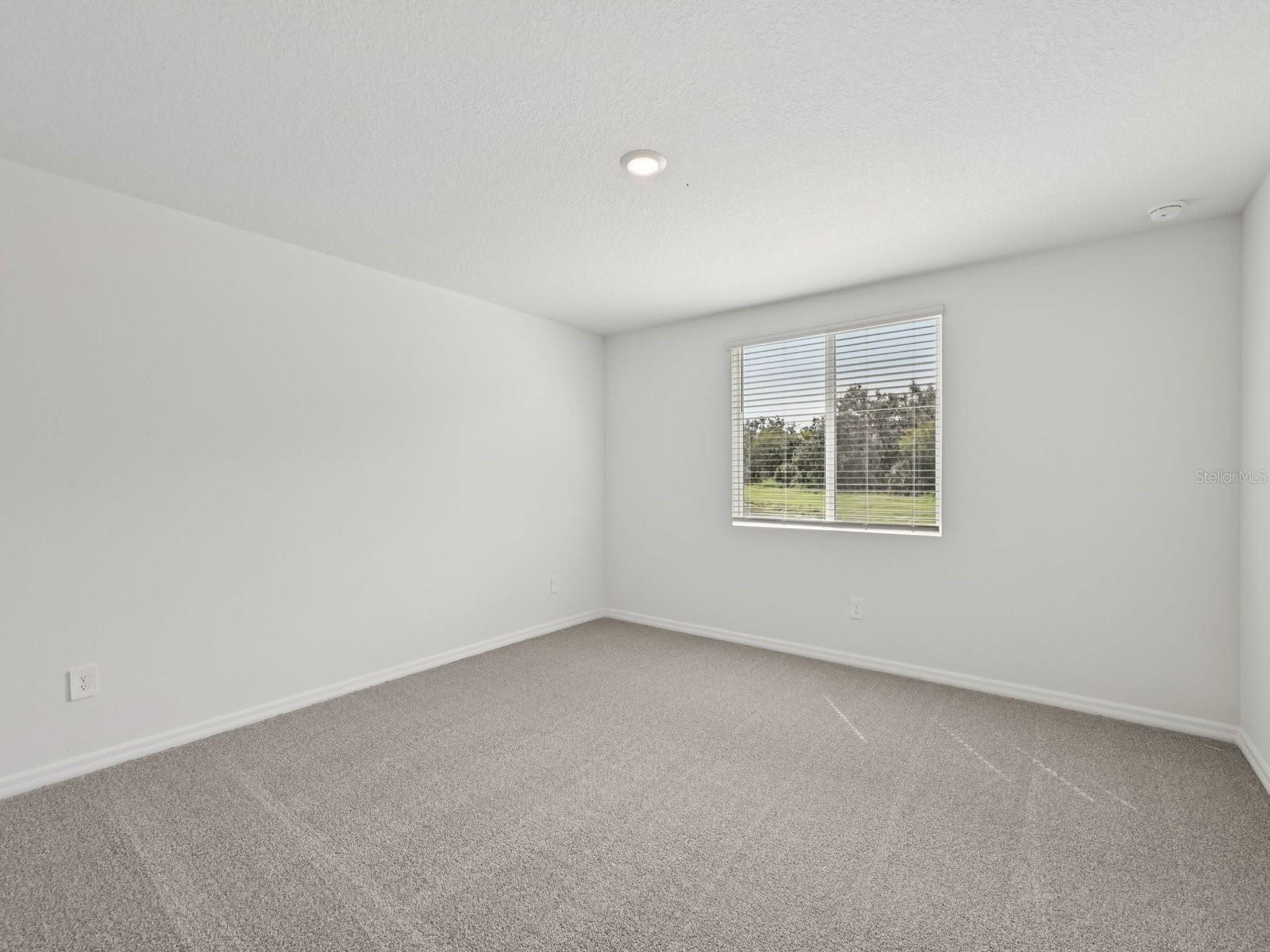 31505 Malbec Dr Property Photo 22