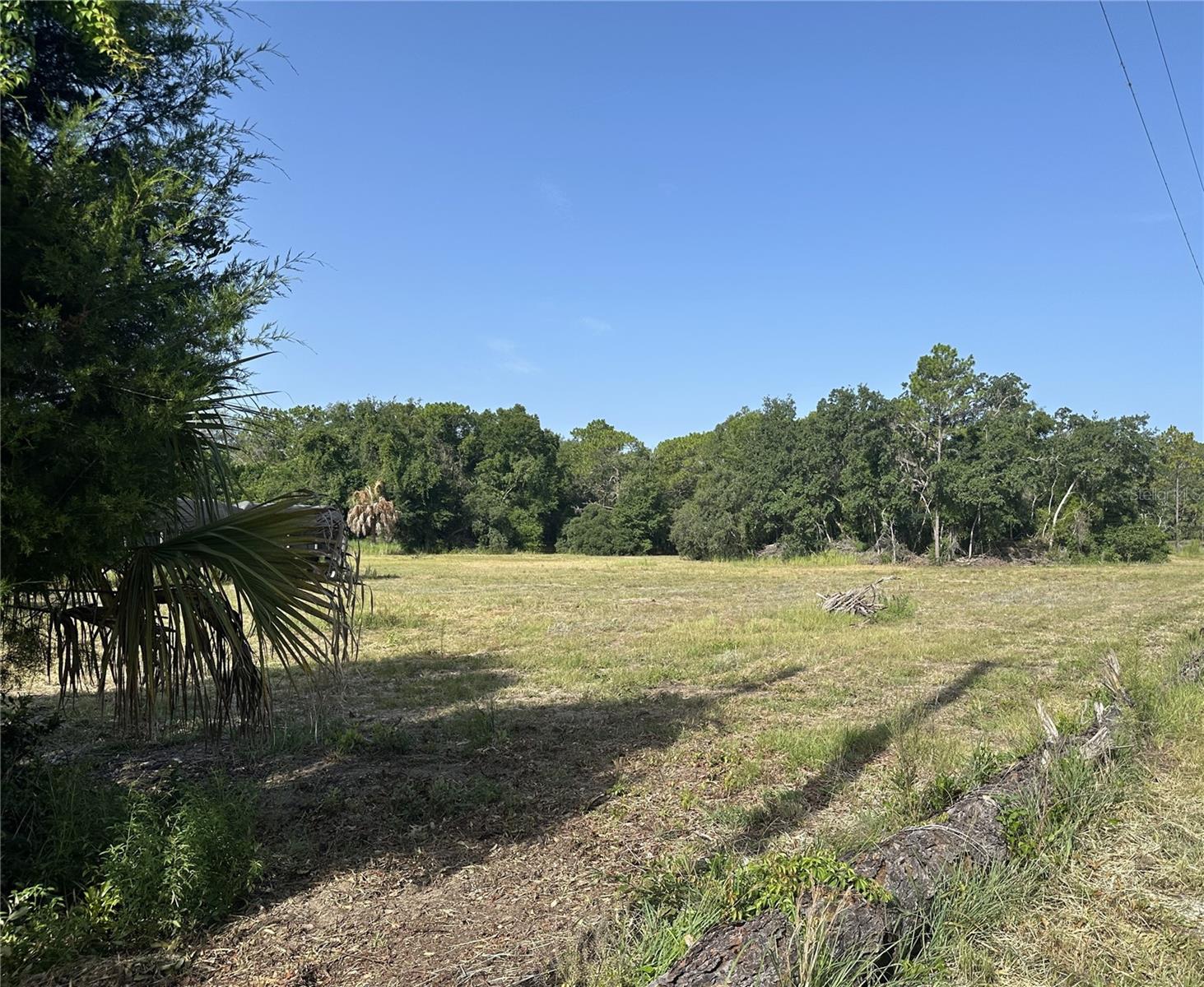 11360 S Florida Ave Property Photo 2