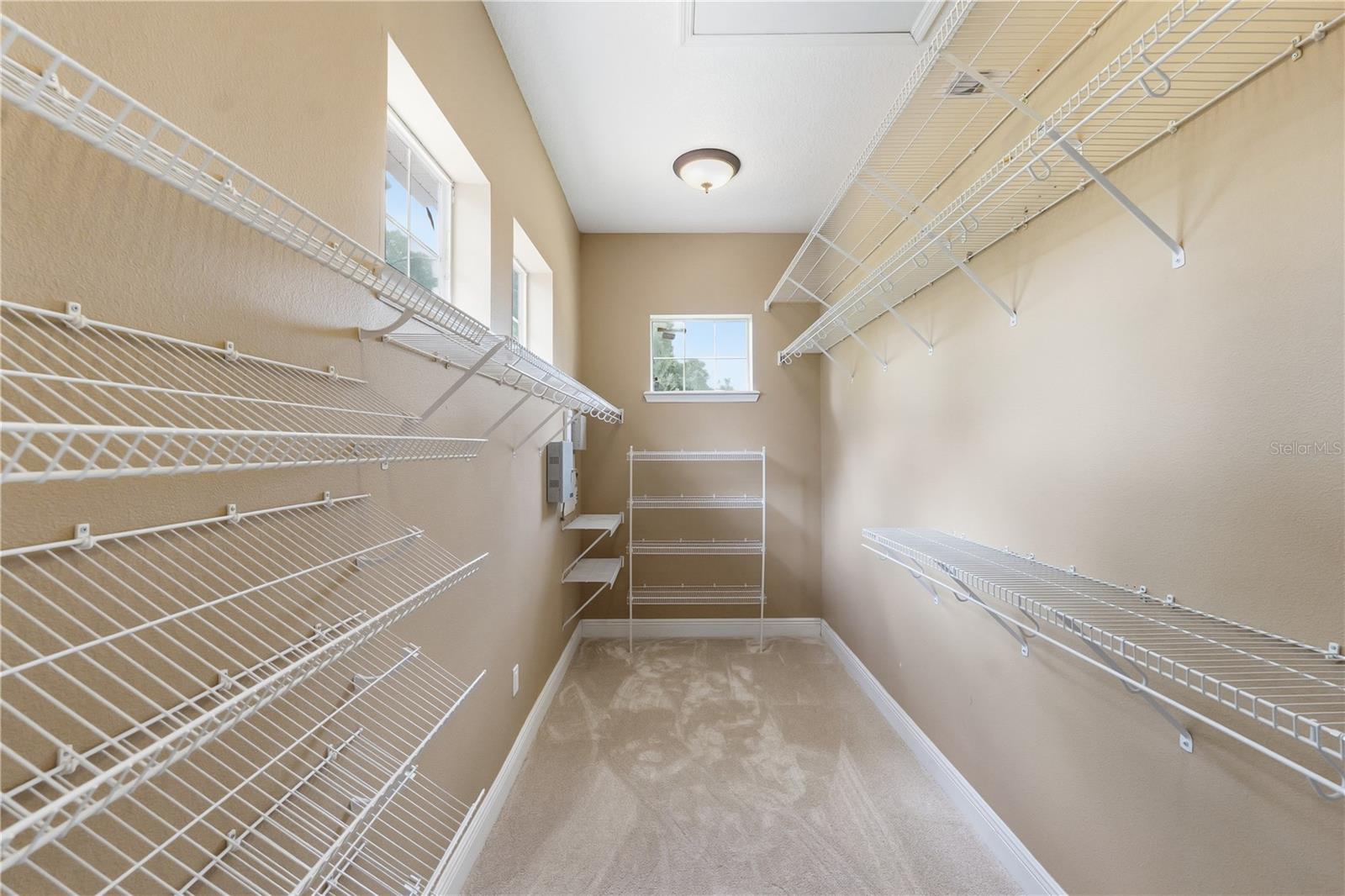 10307 Reclinata Ln Property Photo 14