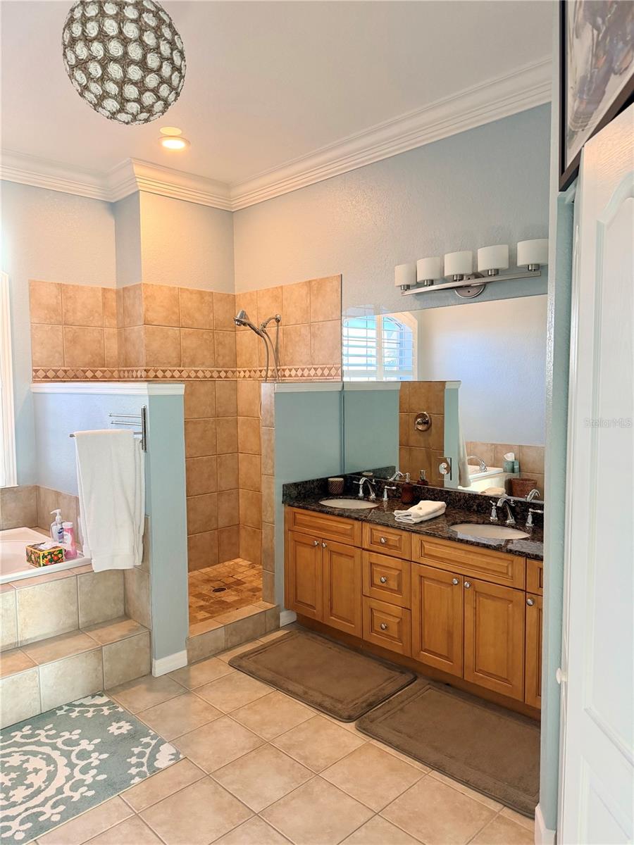 2008 N Pointe Alexis Dr Property Photo 26