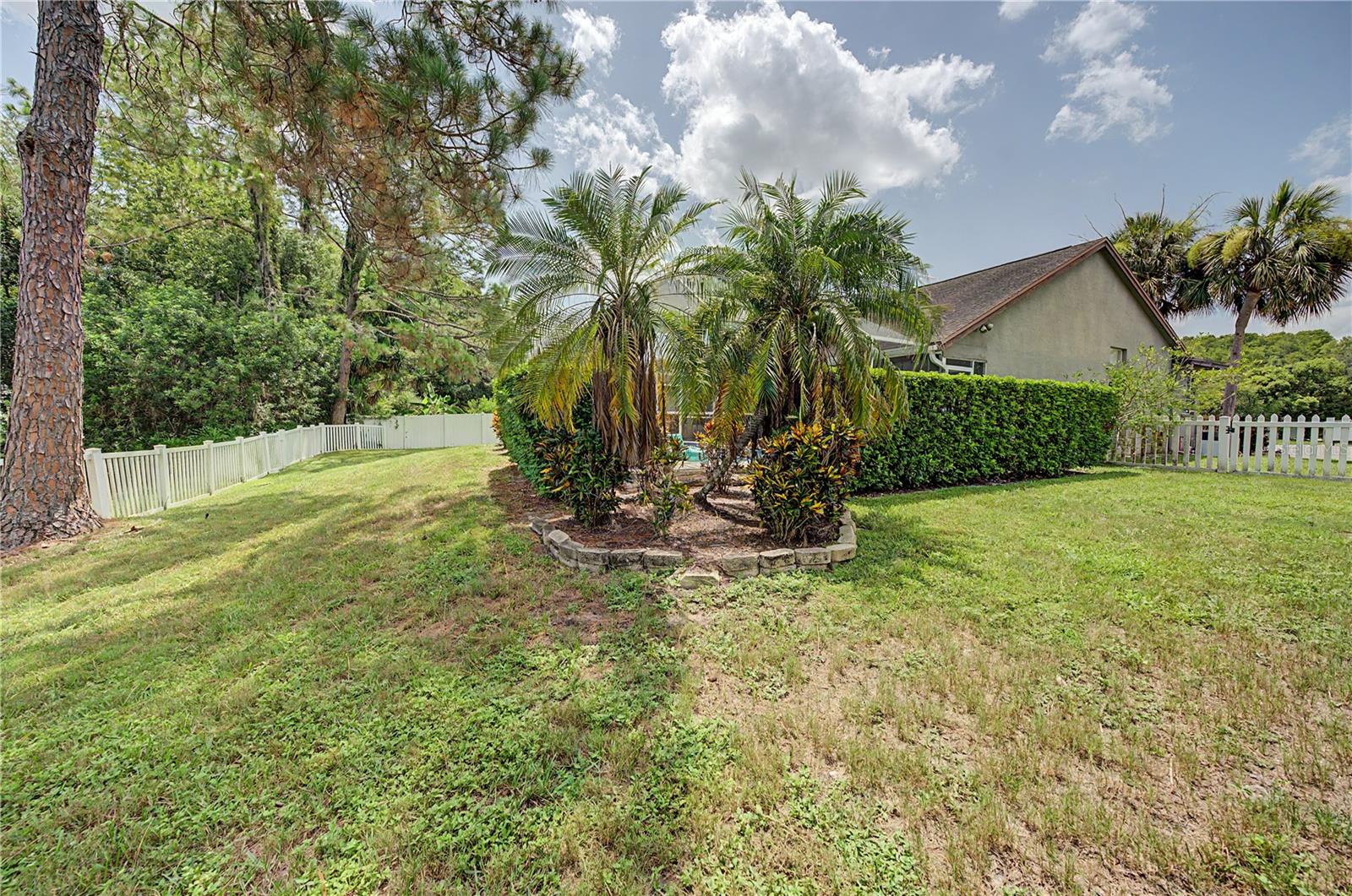 7201 Forestedge Ct Property Photo 33