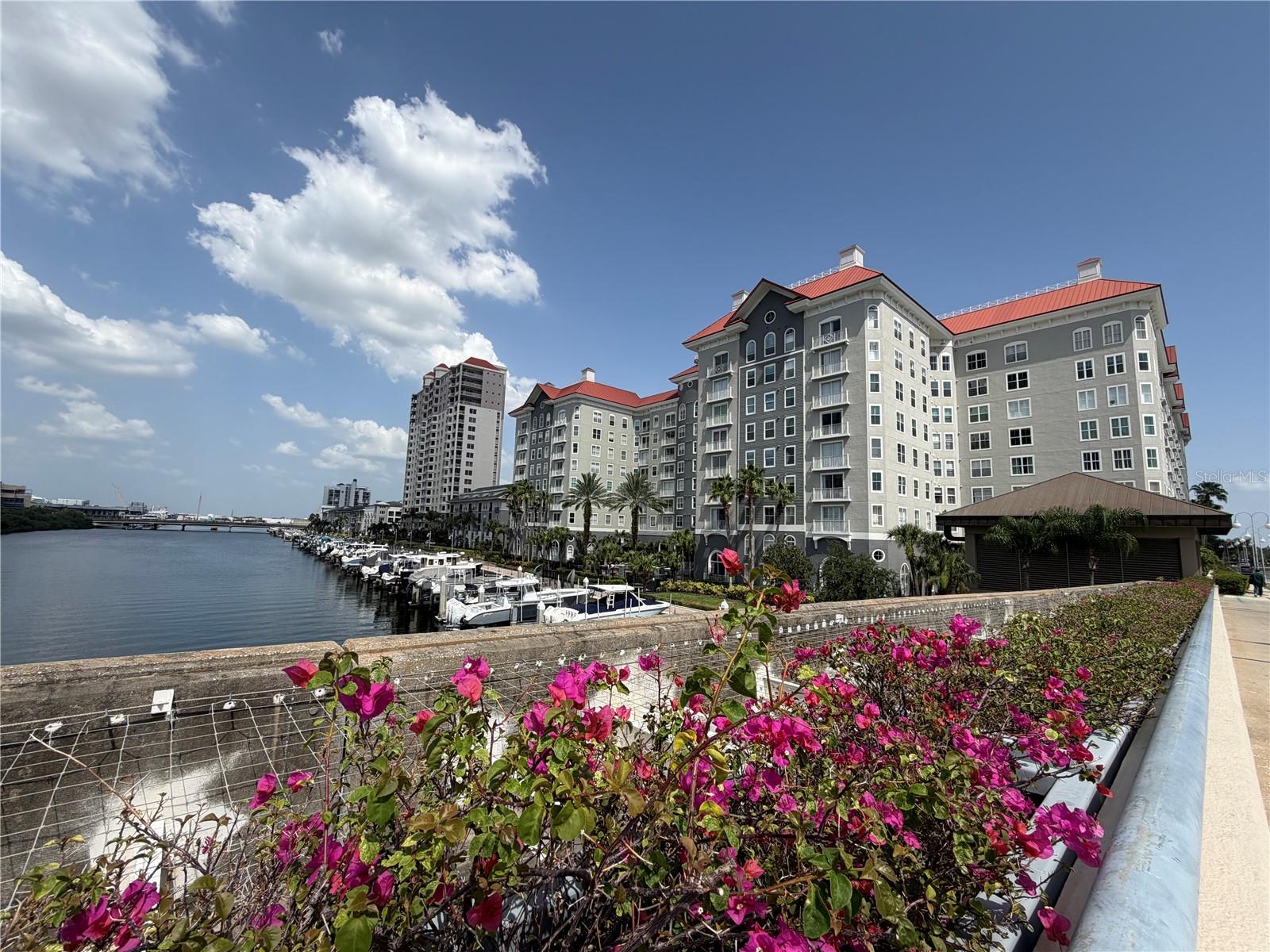 700 S Harbour Island Blvd #512 Property Photo 4