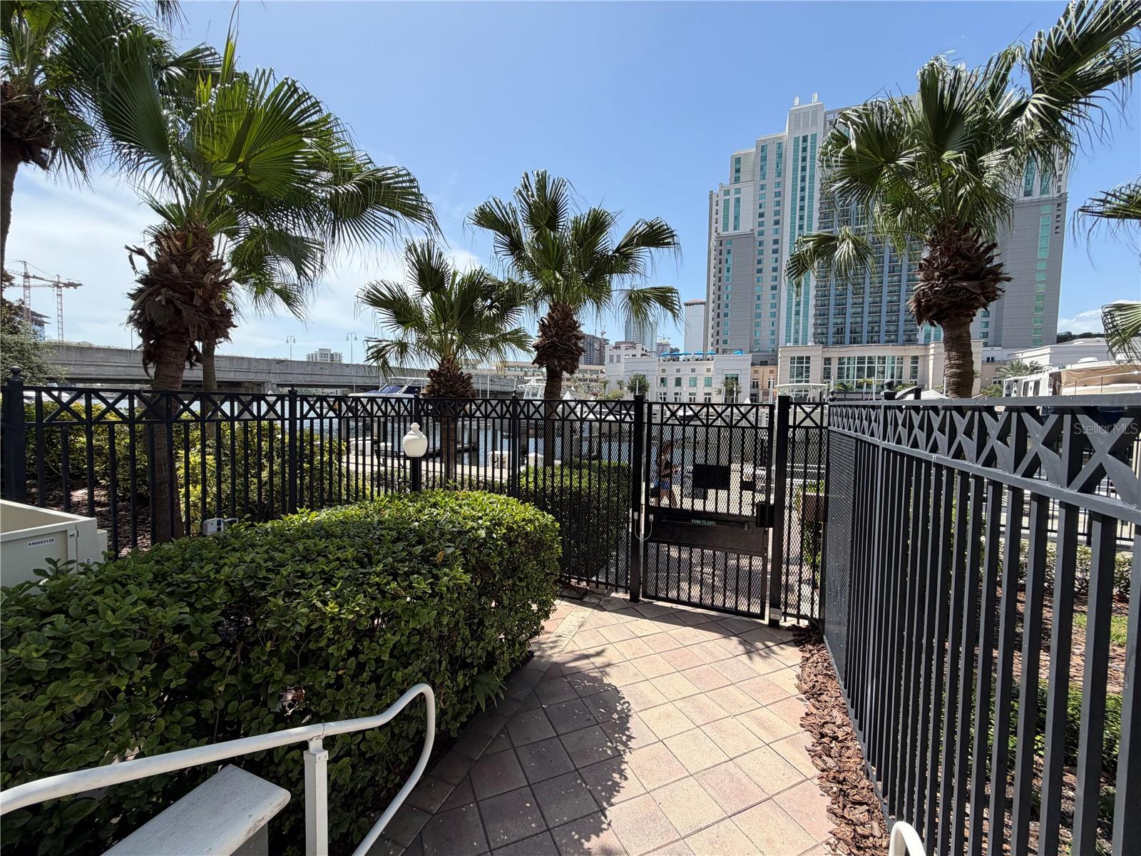 700 S Harbour Island Blvd #512 Property Photo 12