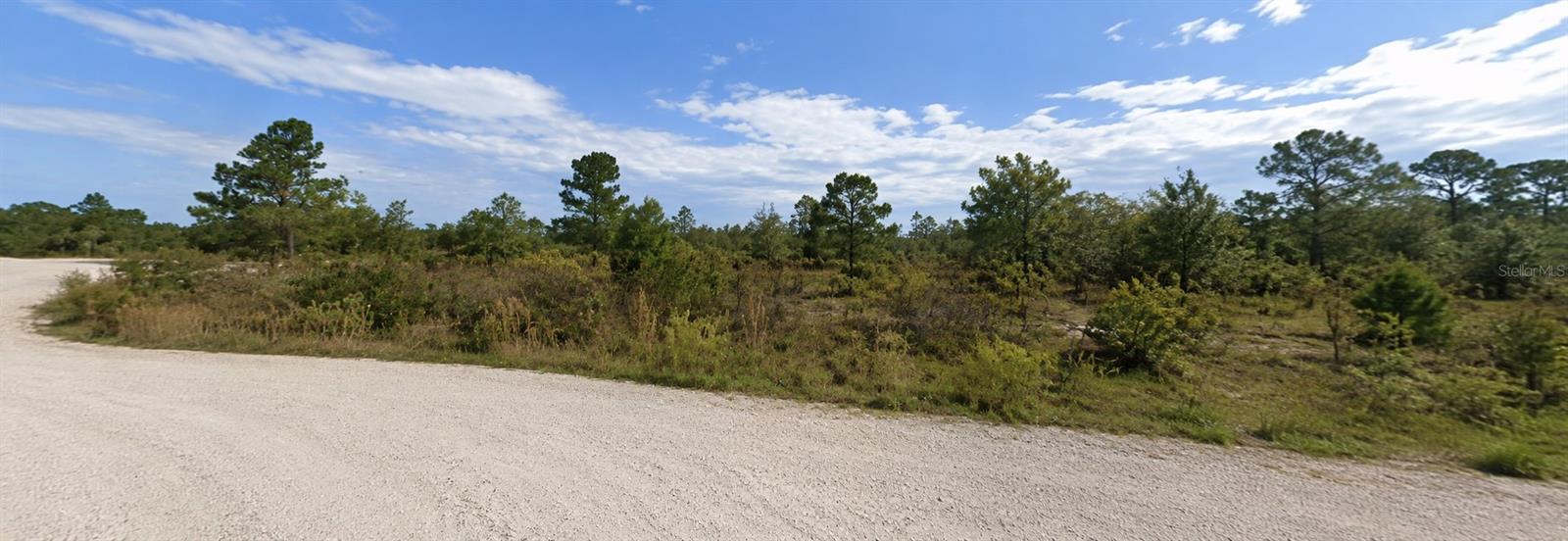 CORAL ROCK DR Property Photo 1