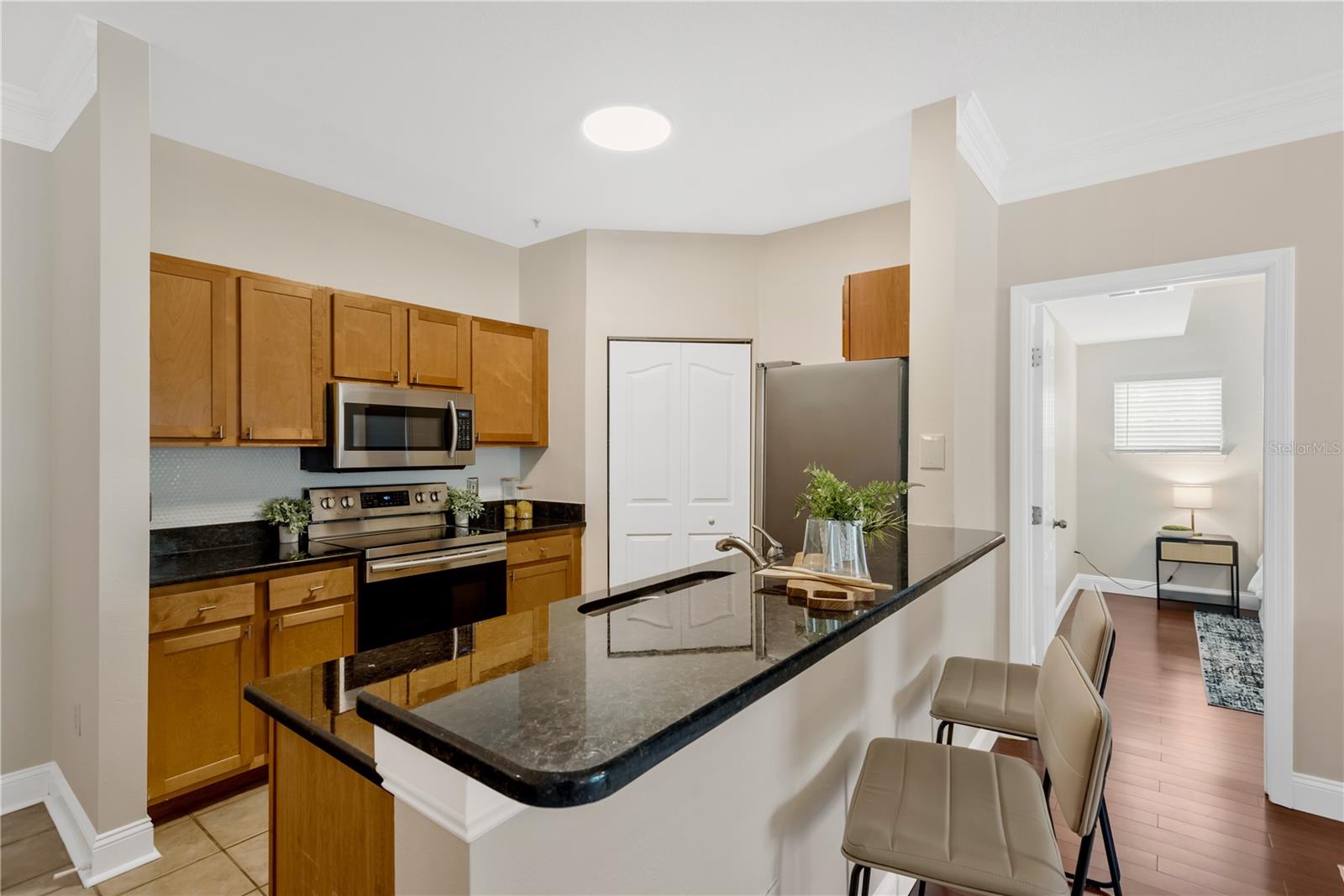 4207 S Dale Mabry Hwy #2301 Property Photo 9