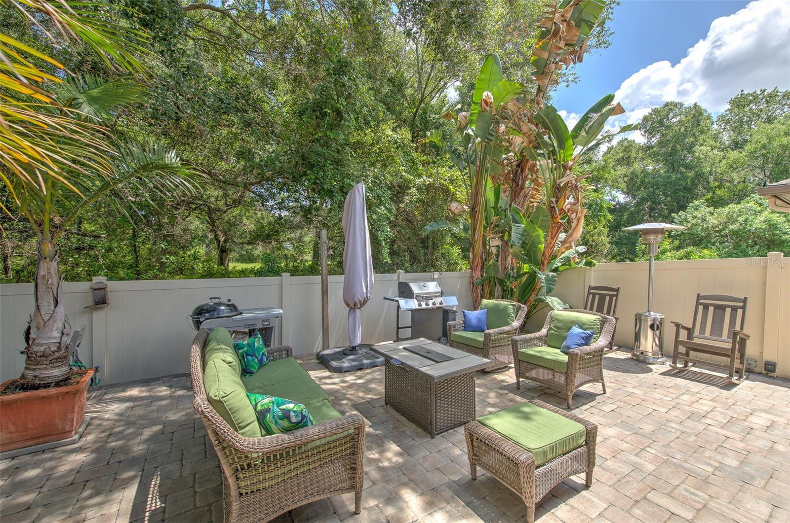 842 Vino Verde Cir Property Photo 41