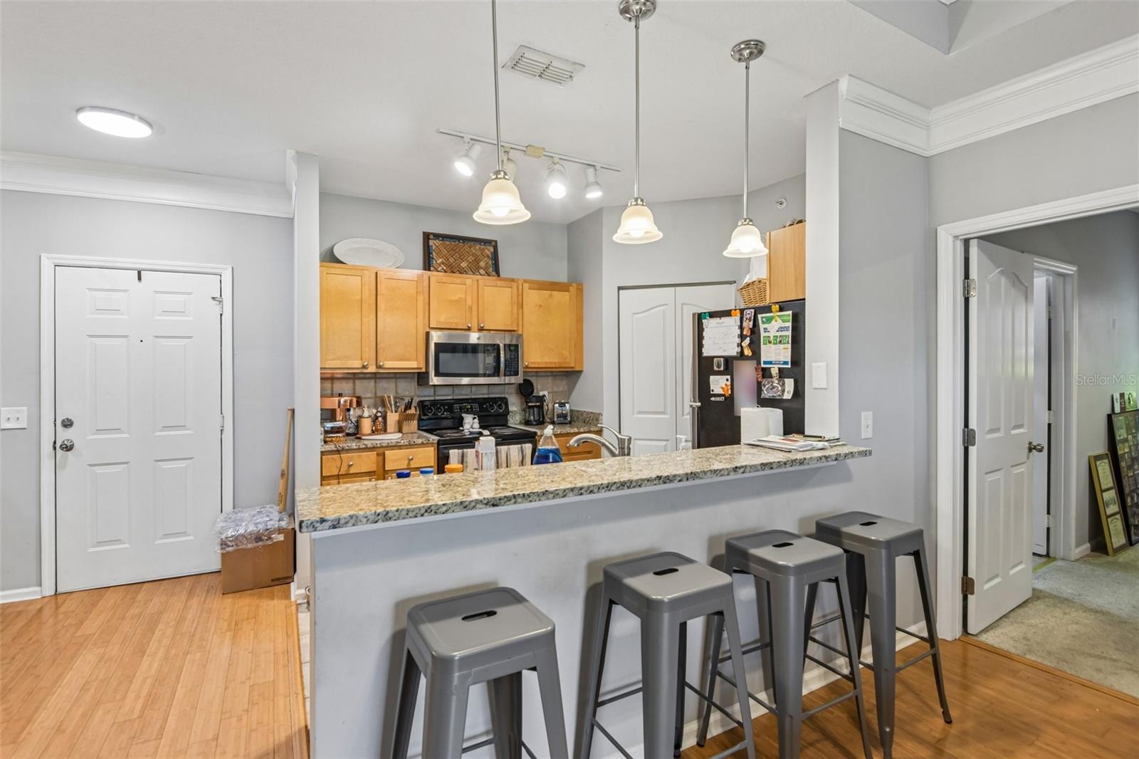 4207 S Dale Mabry Hwy #2414 Property Photo 14