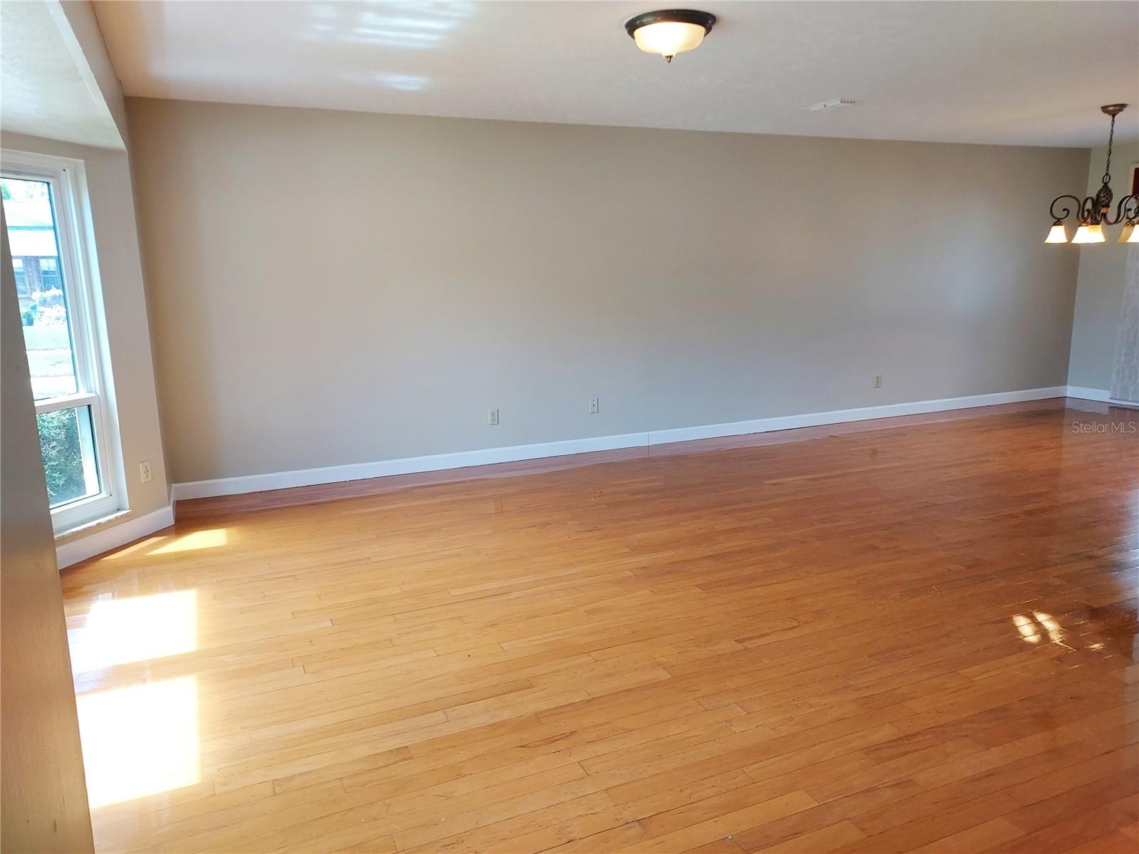 702 Hyssop Pl Property Photo 9