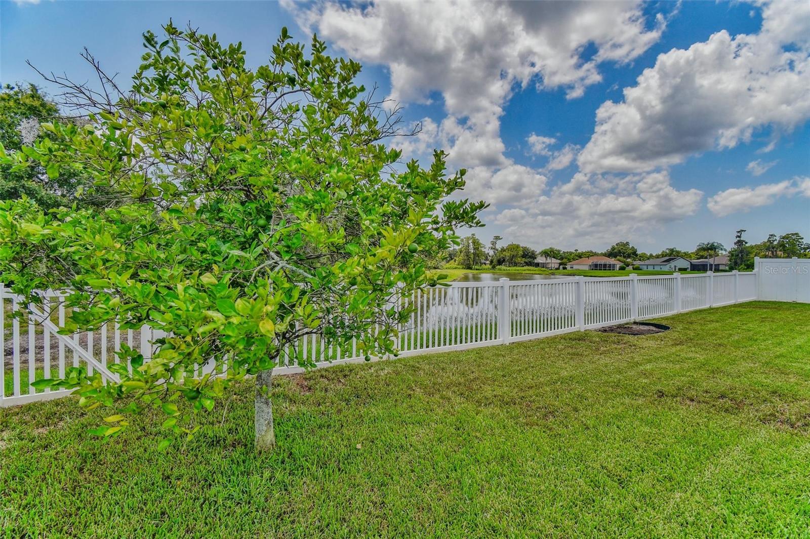 8706 Linebrook Dr Property Photo 37