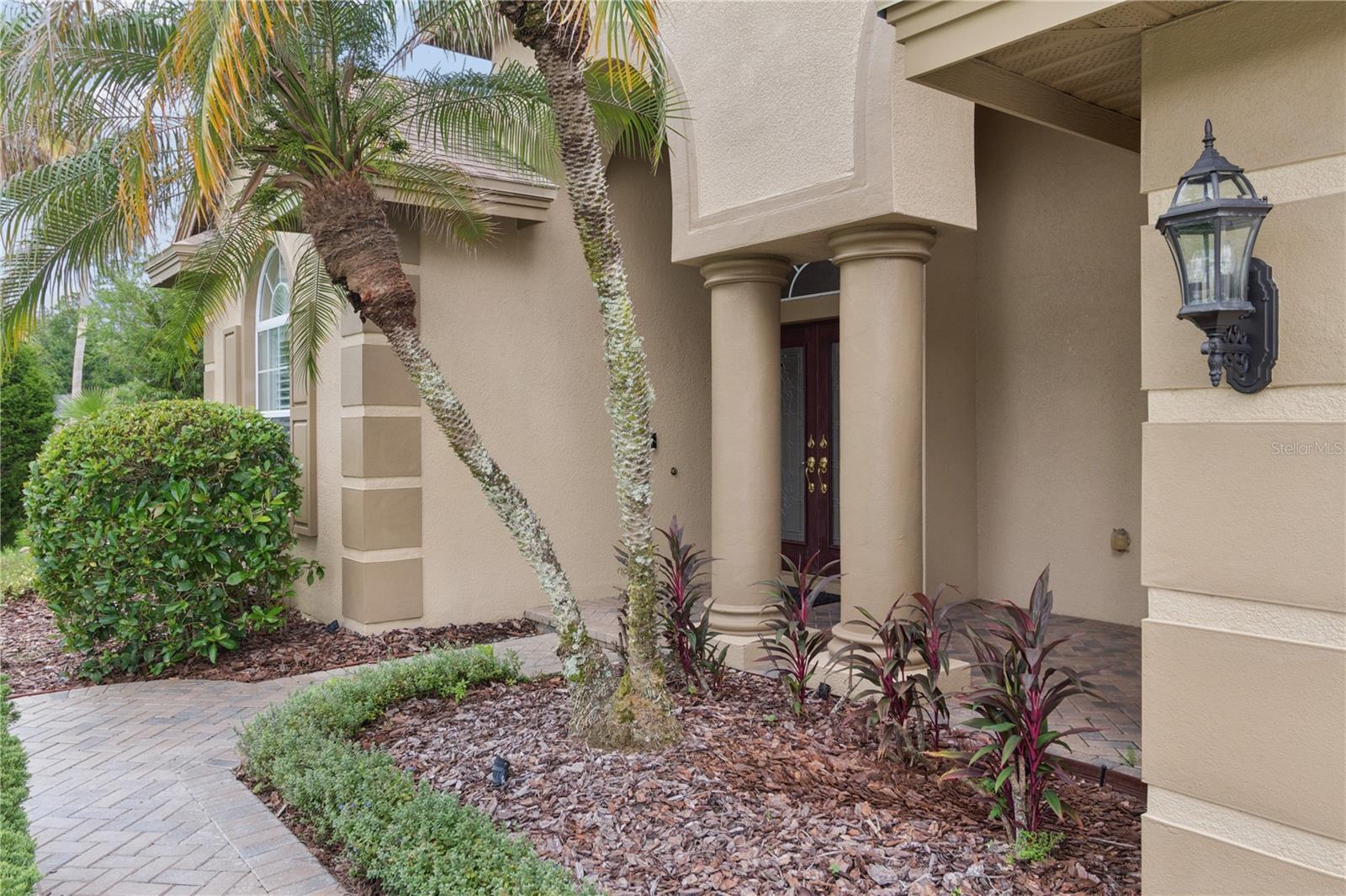 26920 Winged Elm Dr Property Photo 6