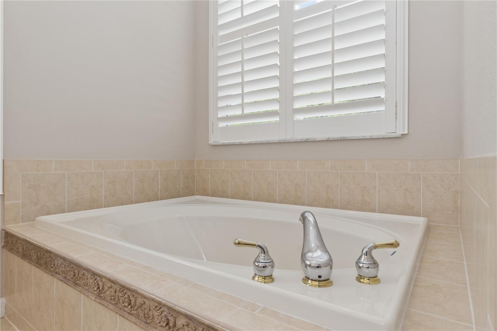 26920 Winged Elm Dr Property Photo 29