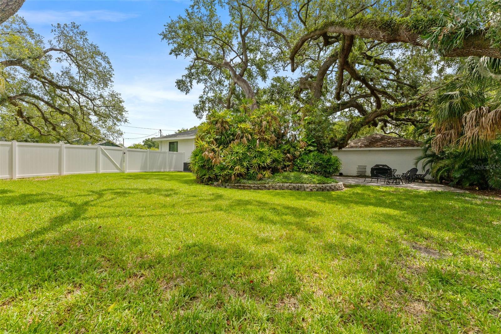 802 W Coral St Property Photo 49