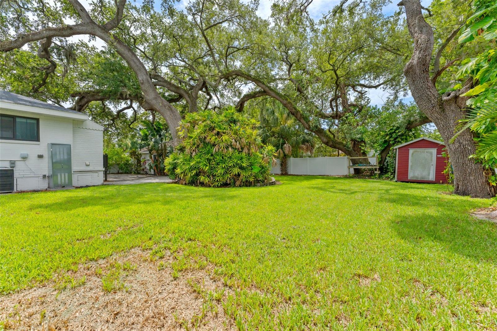 802 W Coral St Property Photo 50