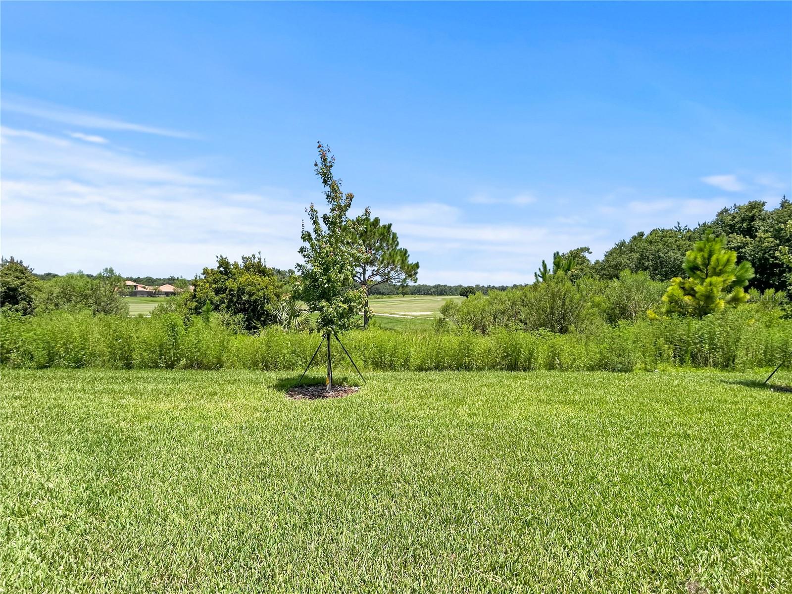 1839 Brentwood Ct Property Photo 37