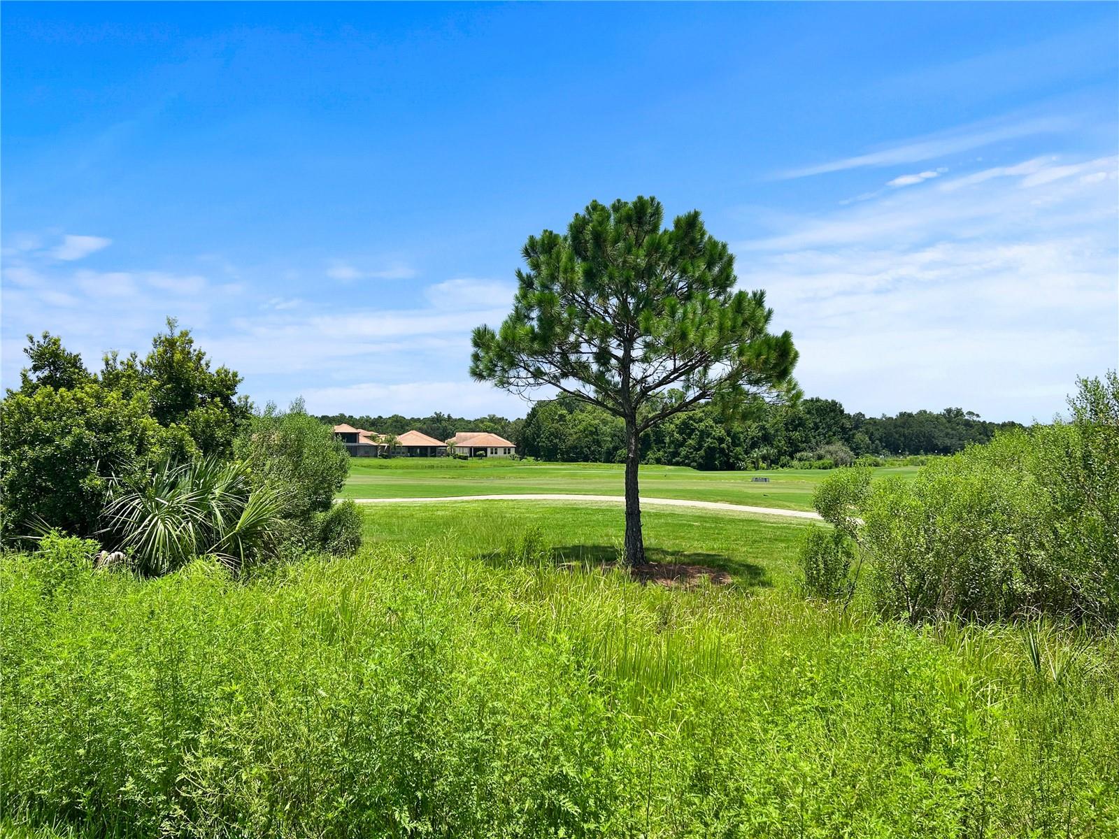 1839 Brentwood Ct Property Photo 43