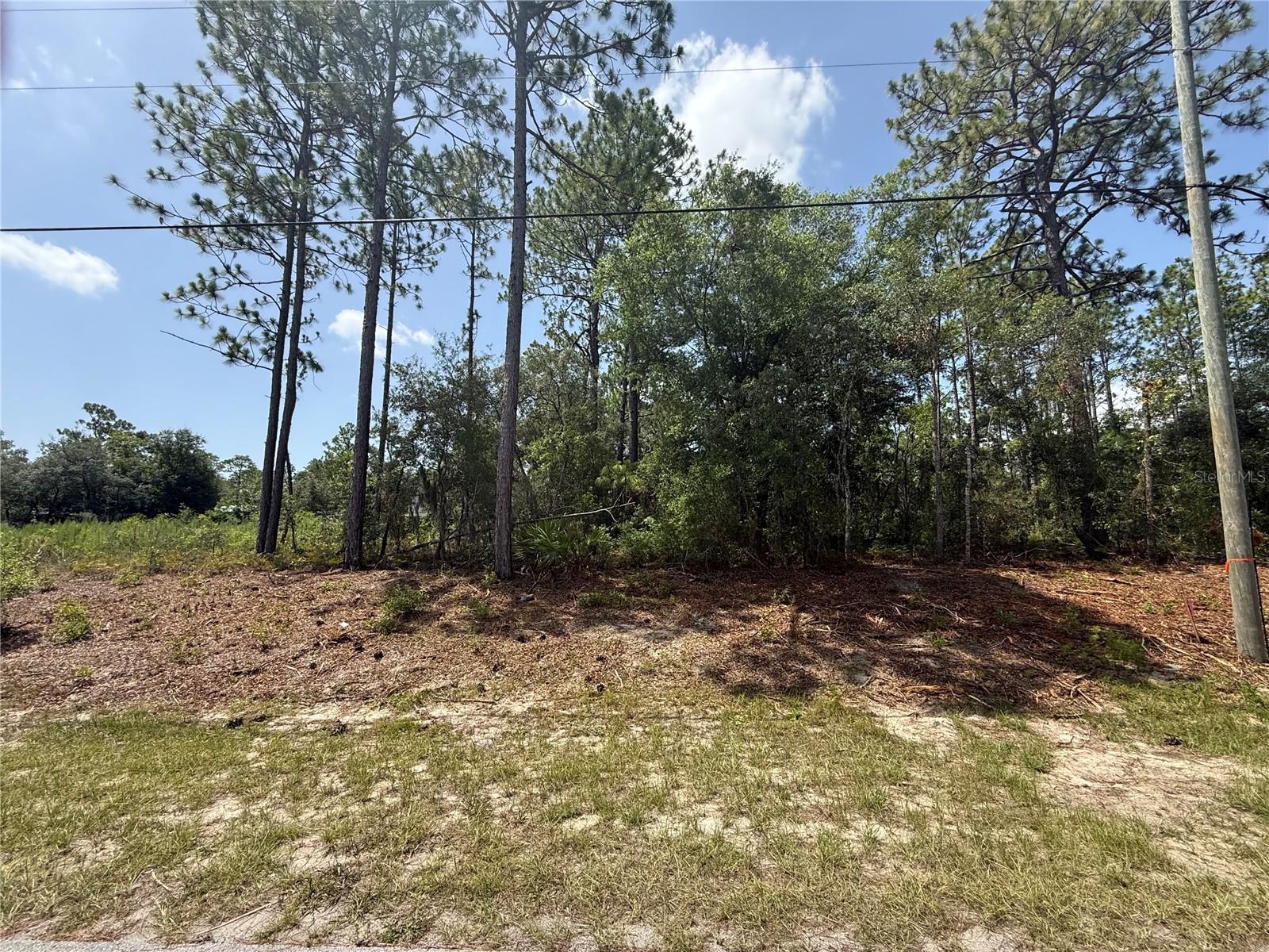 7069 N Santos Dr Property Photo 1
