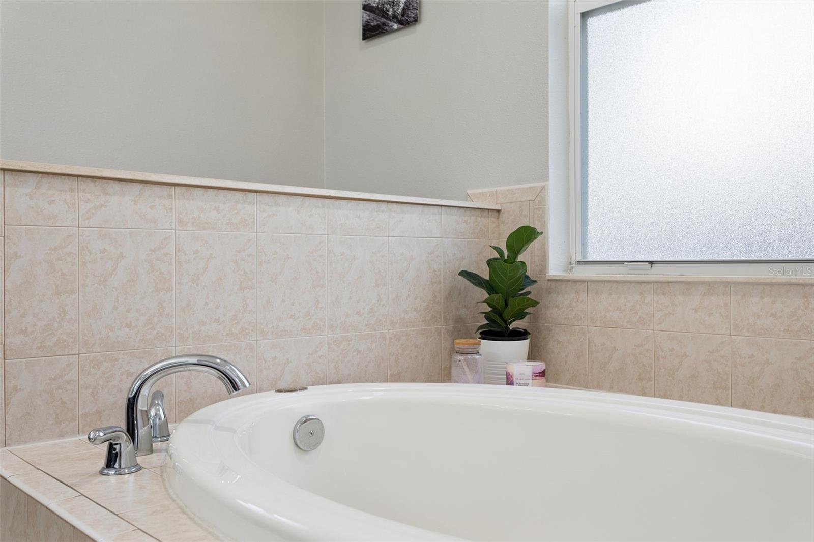 12816 Cattail Shore Ln Property Photo 35