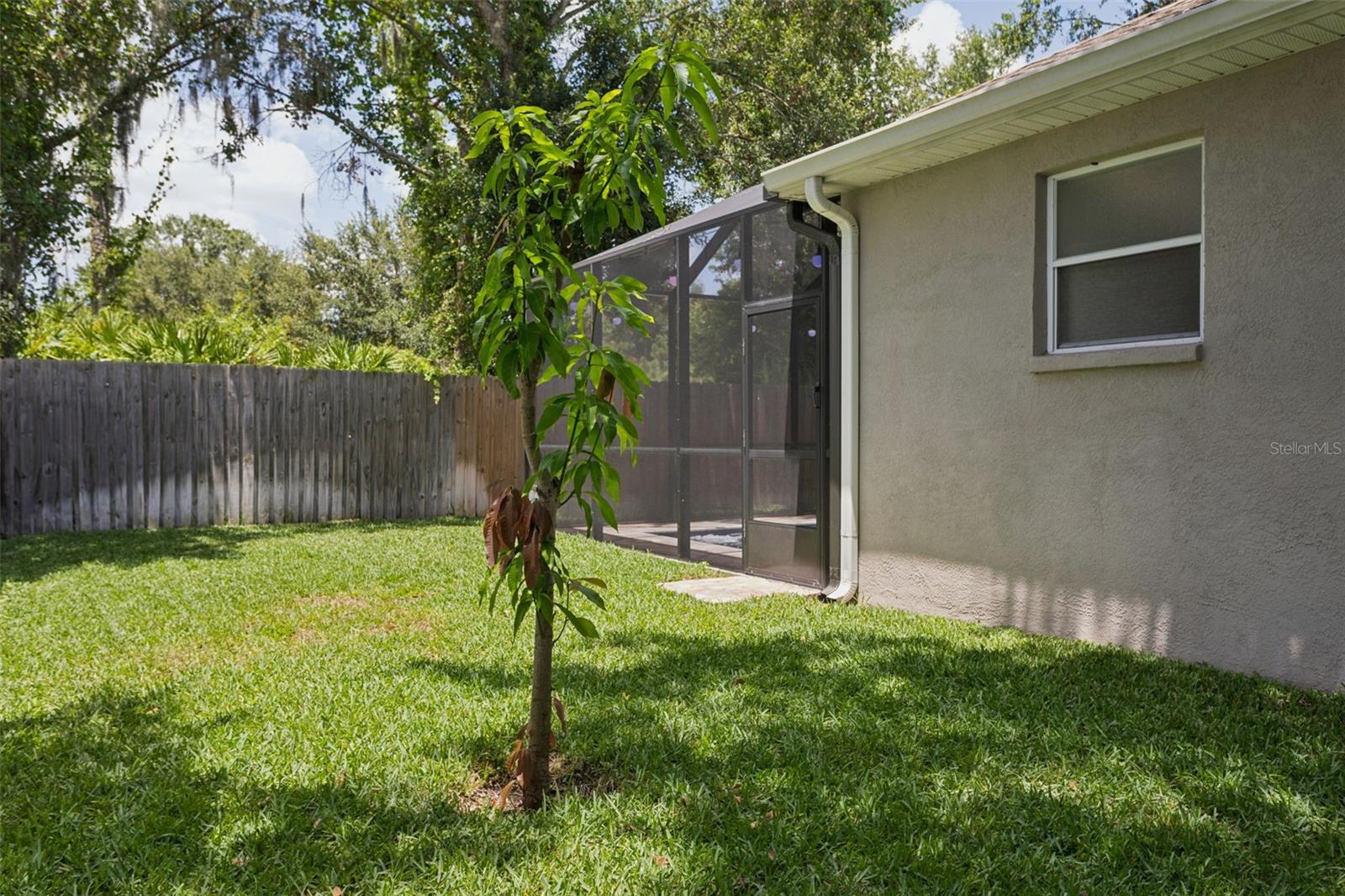 12816 Cattail Shore Ln Property Photo 52