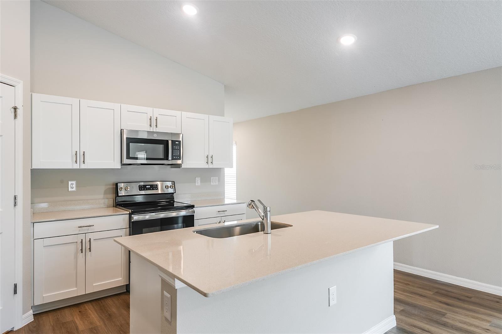 9136 Belleview Forest Pass Property Photo 8