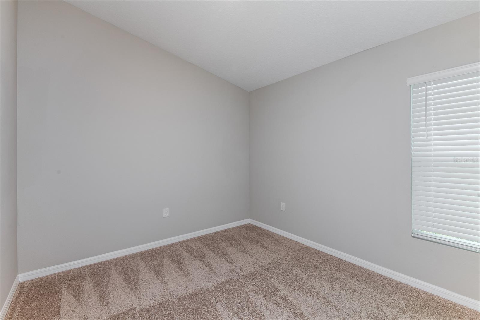 9136 Belleview Forest Pass Property Photo 14