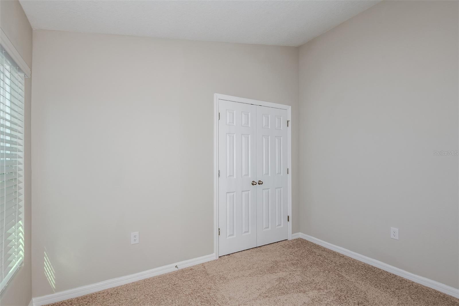 9136 Belleview Forest Pass Property Photo 15