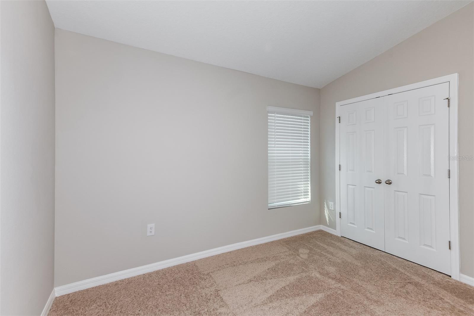 9136 Belleview Forest Pass Property Photo 17