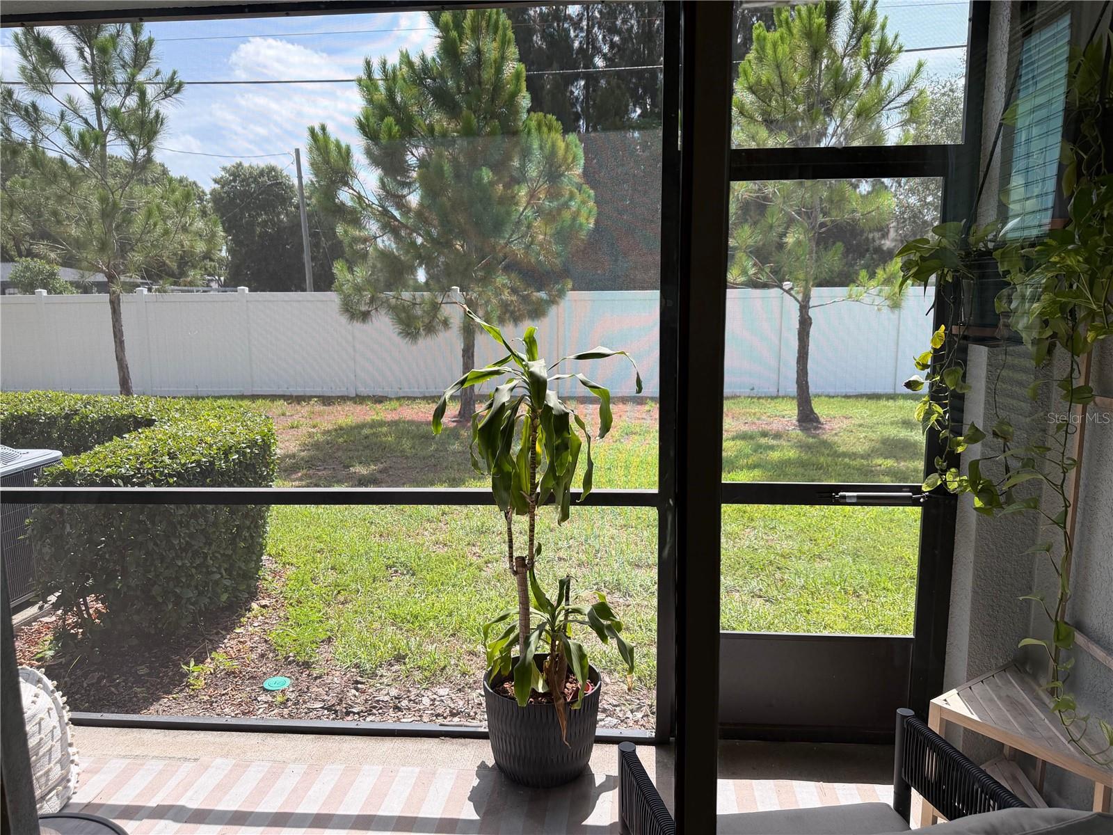 4503 Globe Thistle Dr Property Photo 18