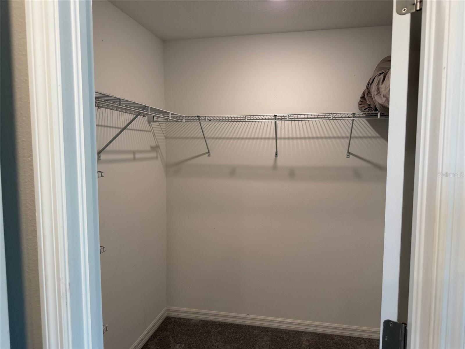 4503 Globe Thistle Dr Property Photo 34