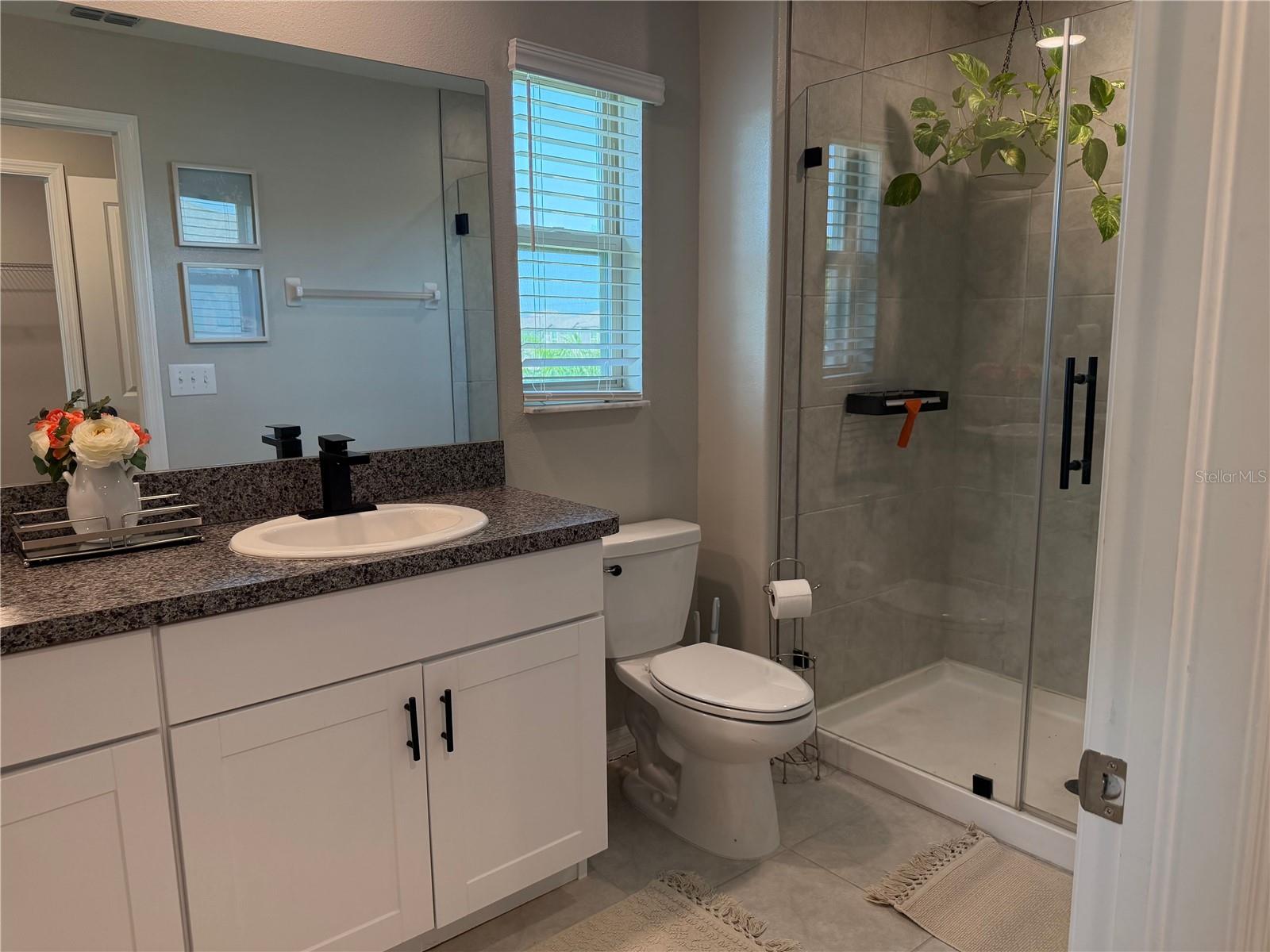 4503 Globe Thistle Dr Property Photo 35