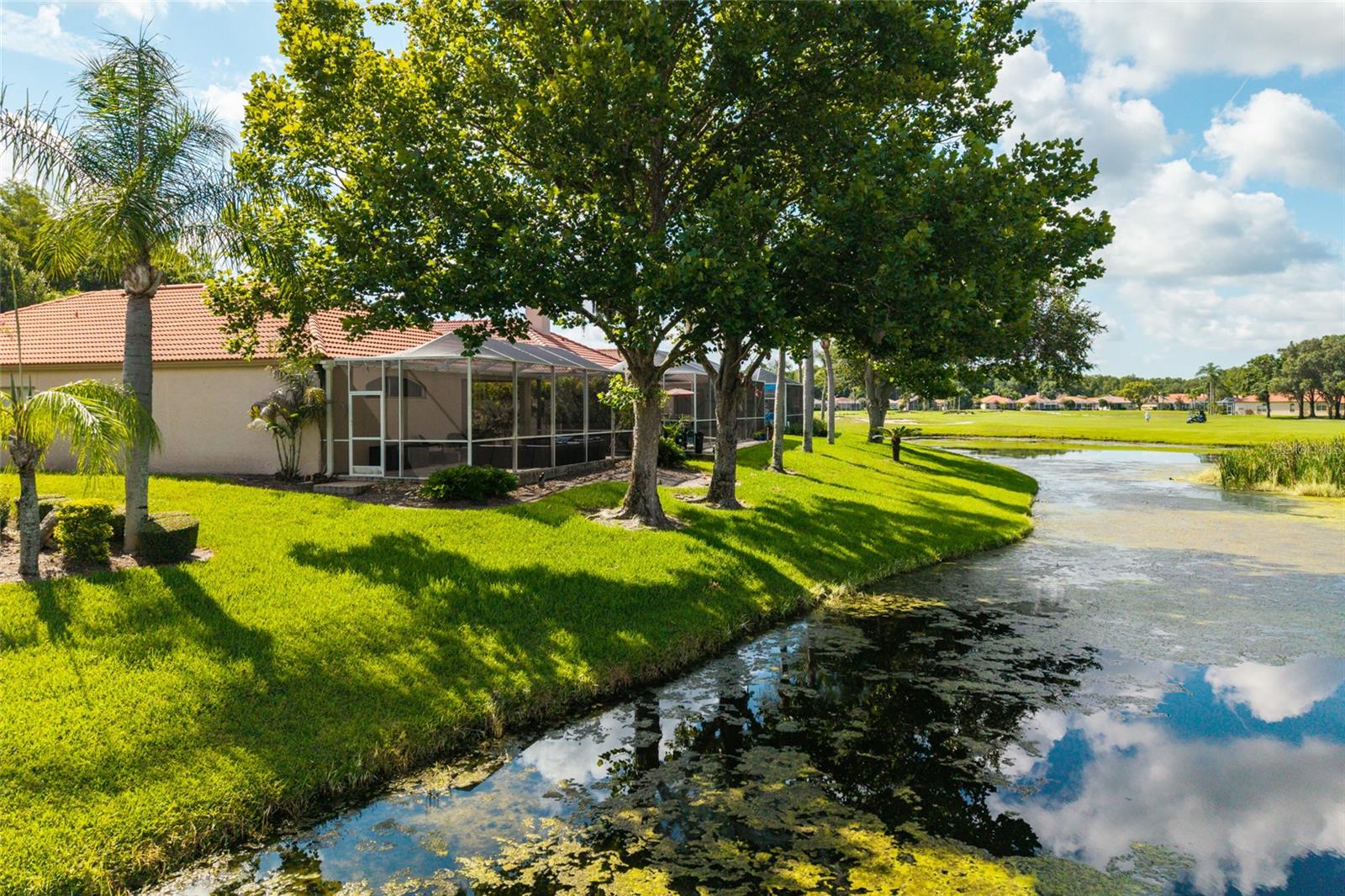 1338 Dartford Dr Property Photo 48
