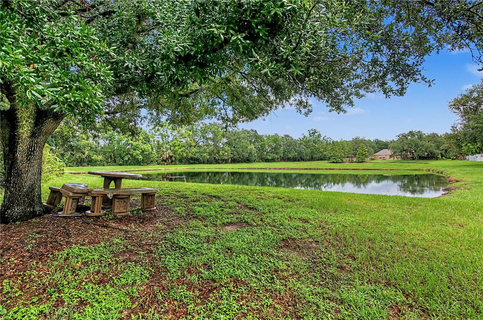 4756 Whispering Wind Ave Property Photo 4