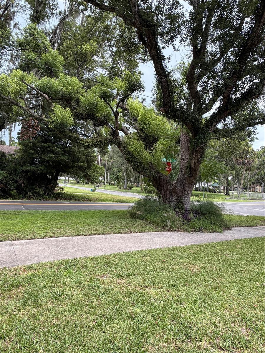 902 E Tomlin St Property Photo 12