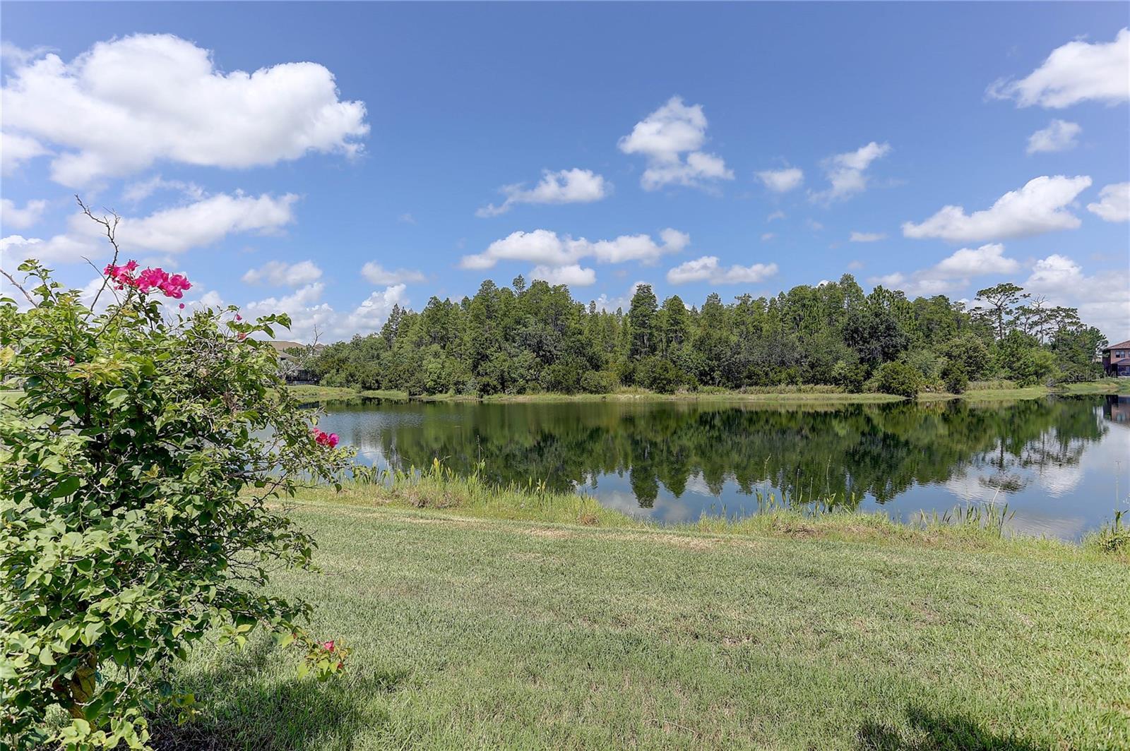18014 Woodland View Dr Property Photo 13